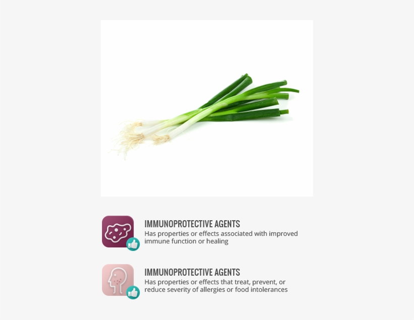 Antioxidants - Leeks Fresh, transparent png