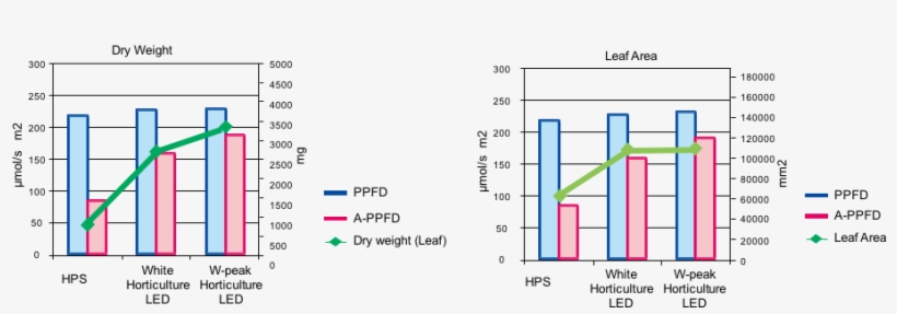 Hort Correlation Of Light And Plant Growth, transparent png
