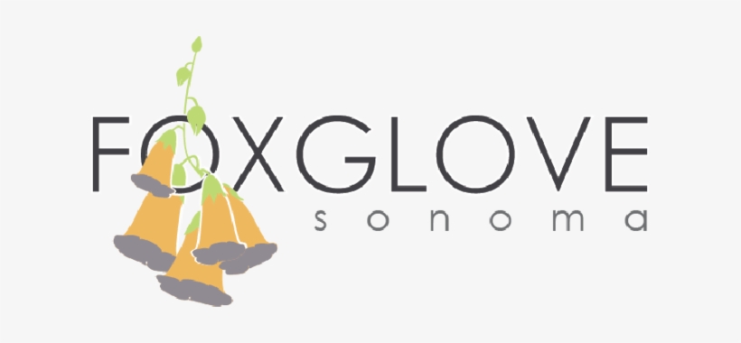 About Foxglove Sonoma - Foxglove, transparent png