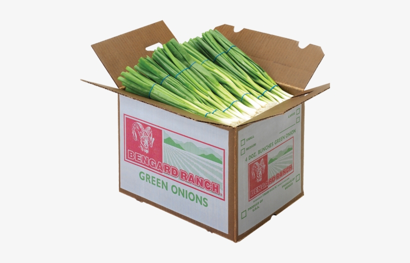 Bengard Ranch, Inc., transparent png