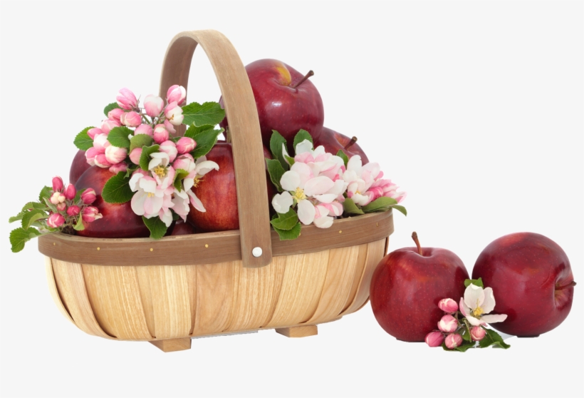Apple Png Free Commercial Use Image - یا مقلب القلوب والابصار یا مدبر اللیل, transparent png