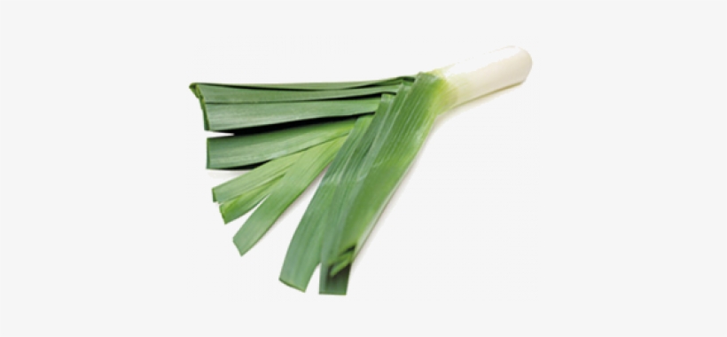Leeks - Leek Vegetables Png, transparent png
