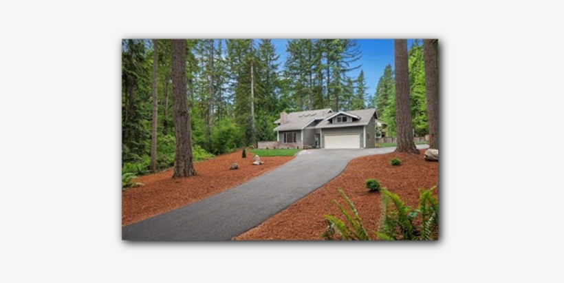 Wood-house - Spruce, transparent png