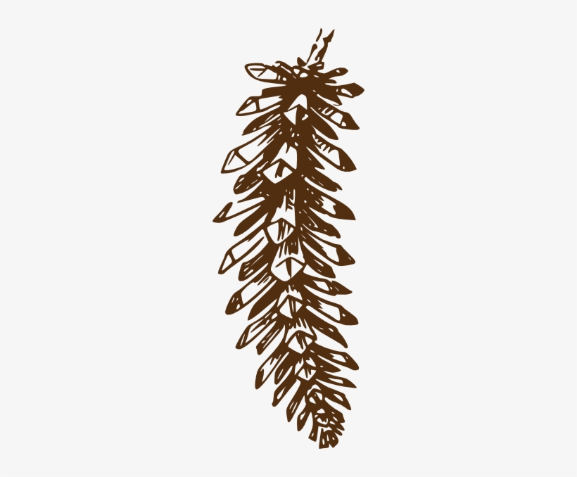 Pinecone Svg Clip Arts 216 X 598 Px, transparent png