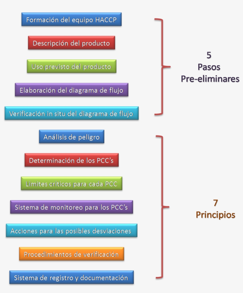 El Proceso De Implantación Deberá Seguir Las Diferentes - Pasos Y Principios Del Haccp, transparent png