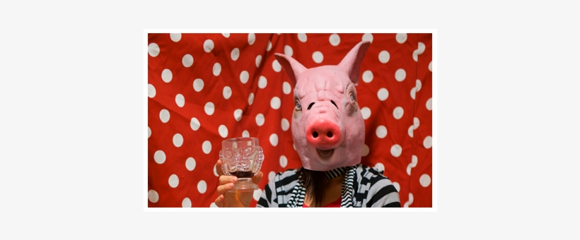 She Brings Warmth And Sunshine To Our Artists, But - Domestic Pig, transparent png