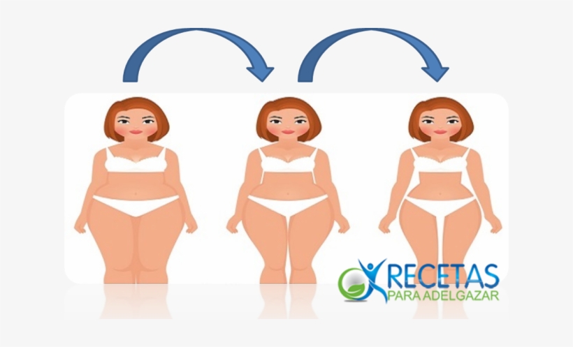 Entonces Todo Lo Que Necesita Es Seguir Estos Pasos - Abdominal Obesity, transparent png