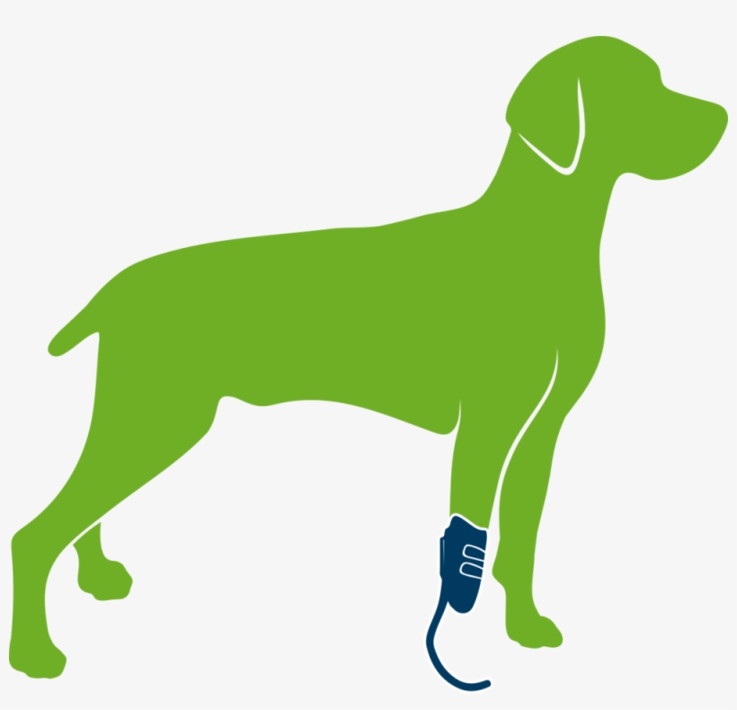 Dog With Prosthesis Only, transparent png