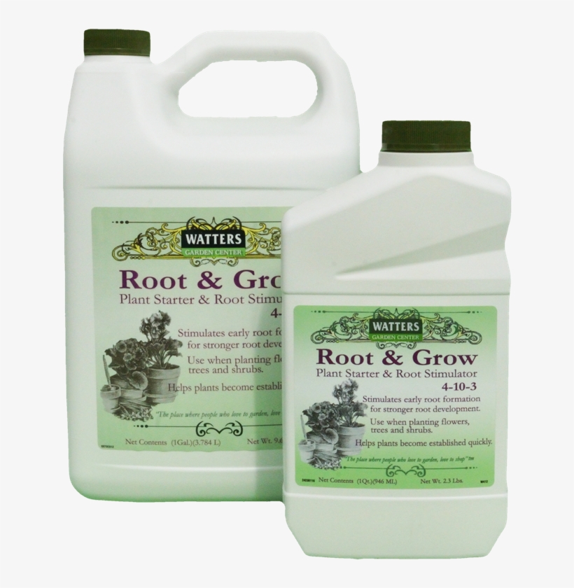 Root & Grow - Root, transparent png