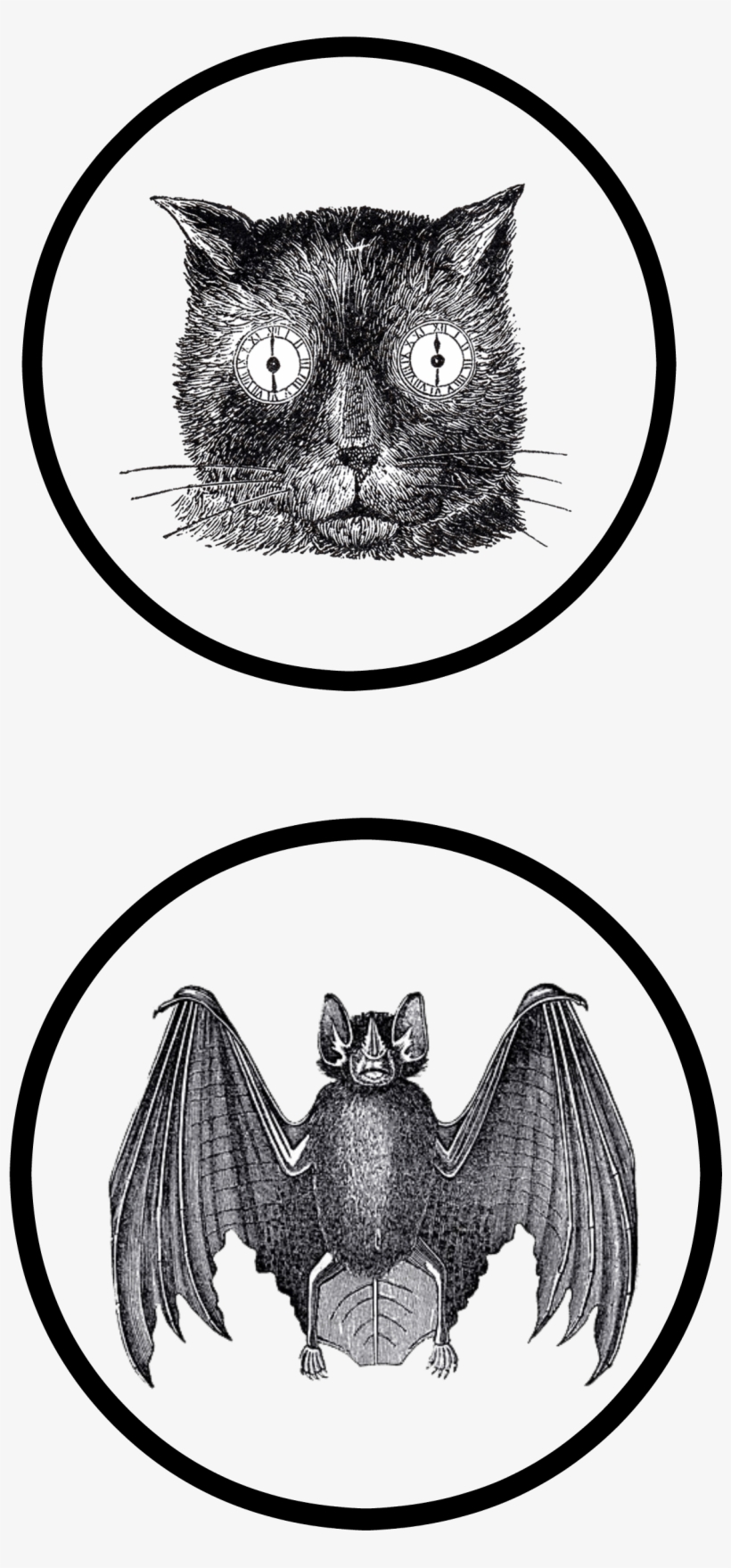 Slightly Coastal Halloween Printable Page - 3drose Print Of Funny Cat Face Drawing Steampunk Style, transparent png