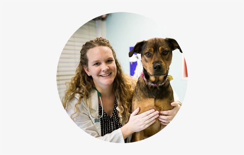Pauline Clayton, Dvm - Memphis Animal Clinic, transparent png