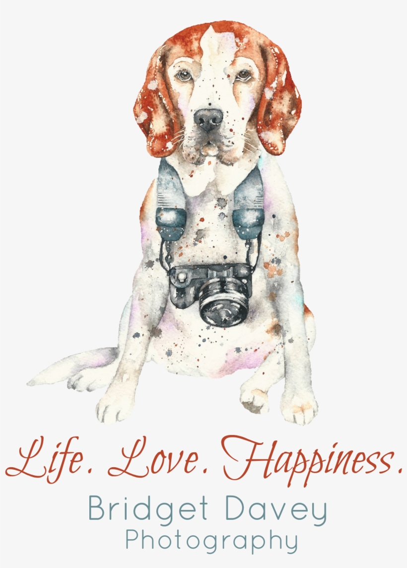 Bridget Davey Photography - Makeawishxo Love Bracelet Lover Forever Sterling Silver, transparent png