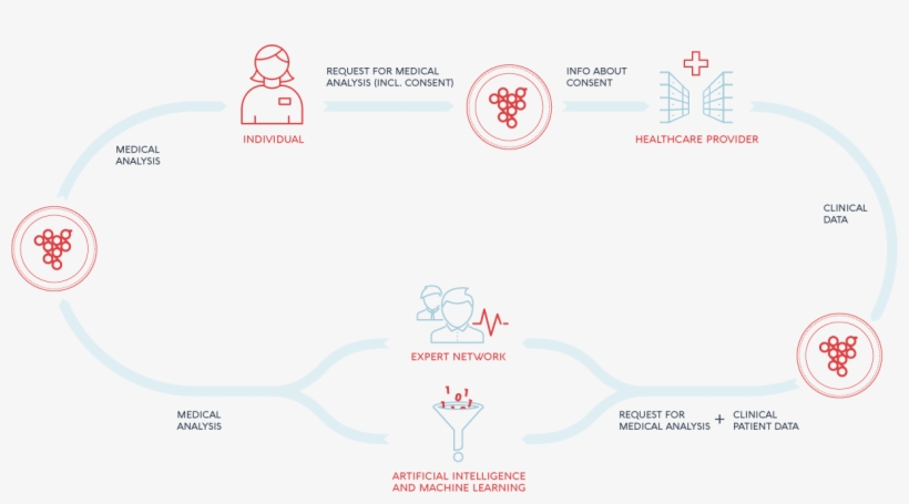 Alternatively, You Can Also Purchase Grapevine World - Diagram, transparent png