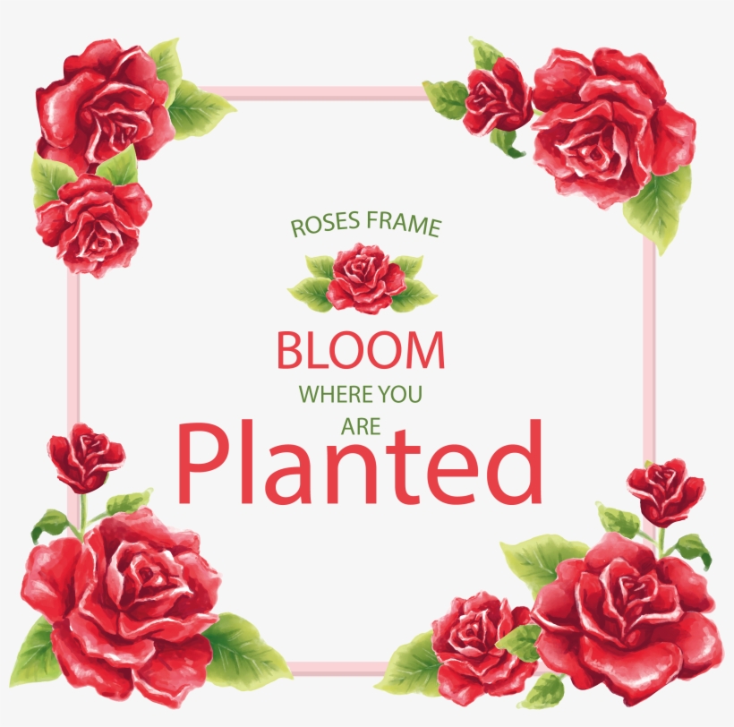 Com / Floral Frame Vintage Flowers, Red Roses, Unicorns, - Prayer Journal: Study The Bible Scriptures, transparent png