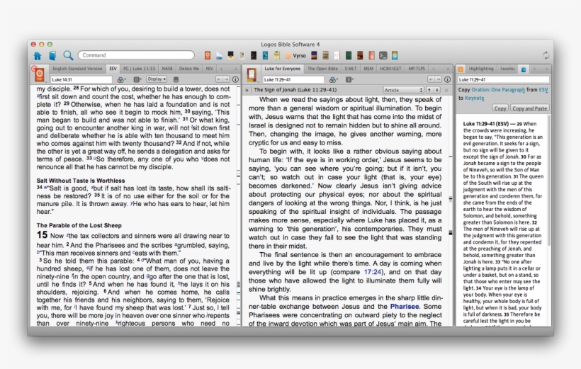 In My Case, Copy Bible Verses Is Visible When I Open - Lei Aurea, transparent png