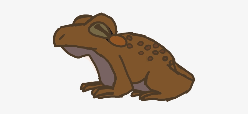 Toad Knows - Illustration, transparent png