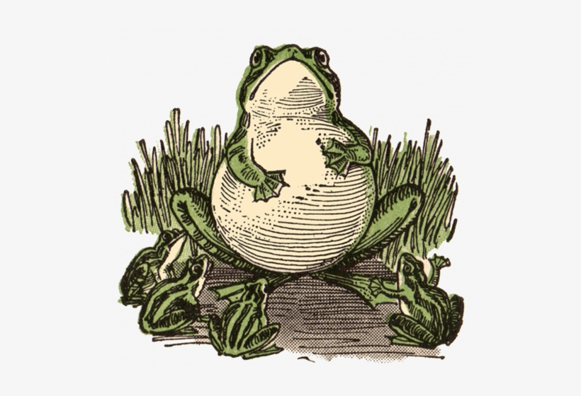 « - Vintage Frog Illustration, transparent png