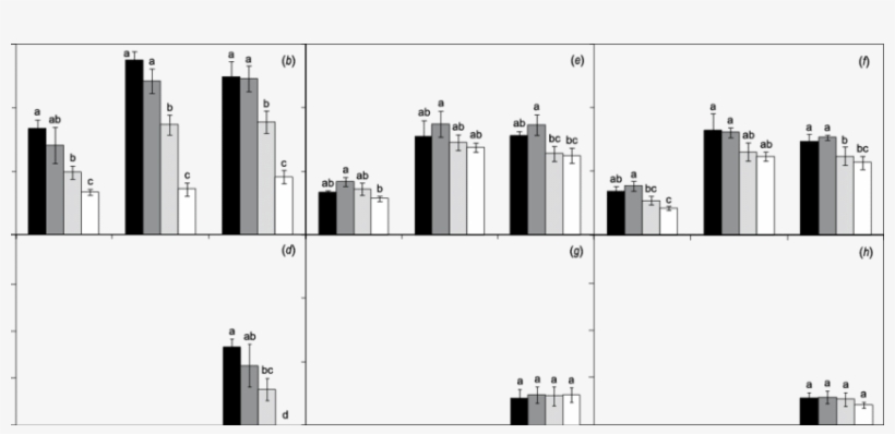 Seasonal Variations Of Aerial Biomass And Tassel Mass - Diagram, transparent png