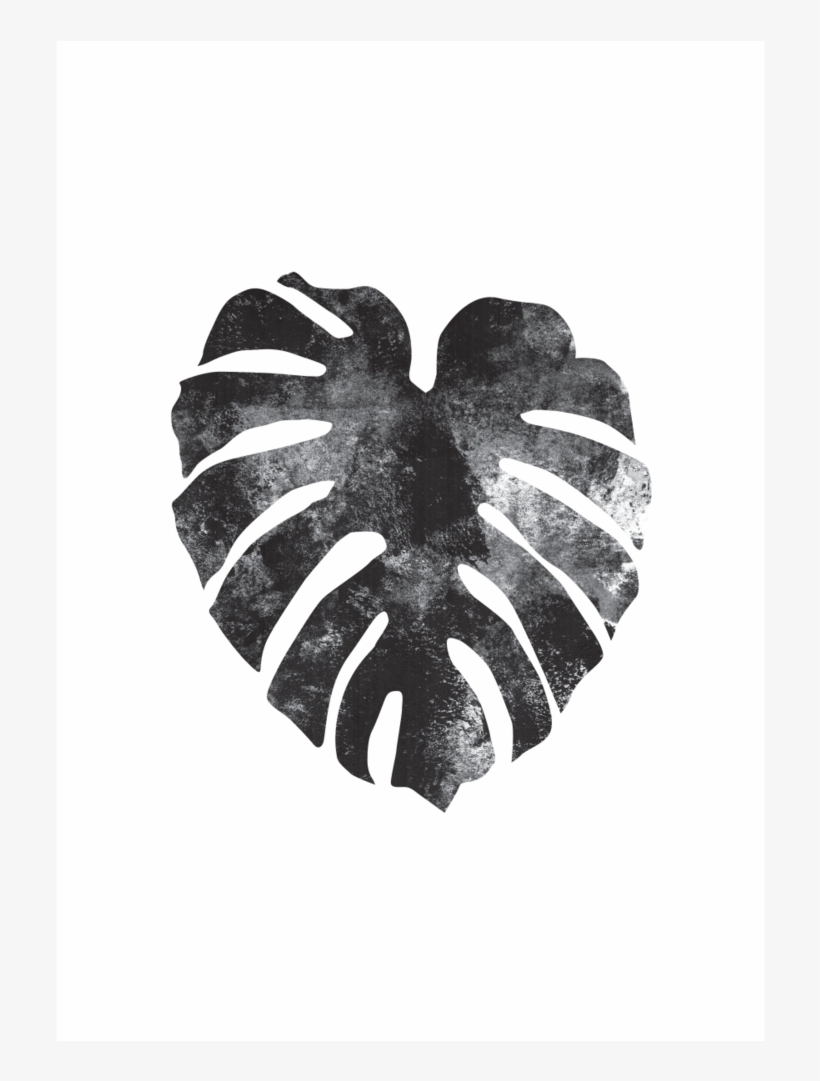 Monstera, transparent png