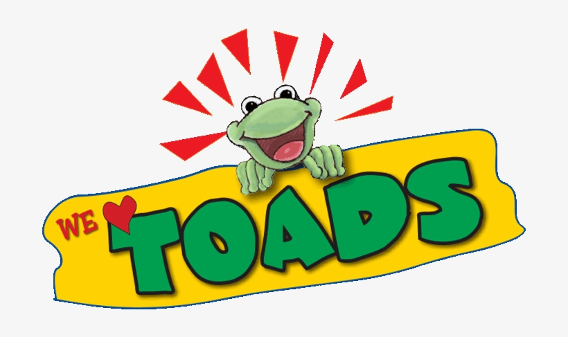Amphibians Are Animals That Have Mucous Glands In Their - Child, transparent png