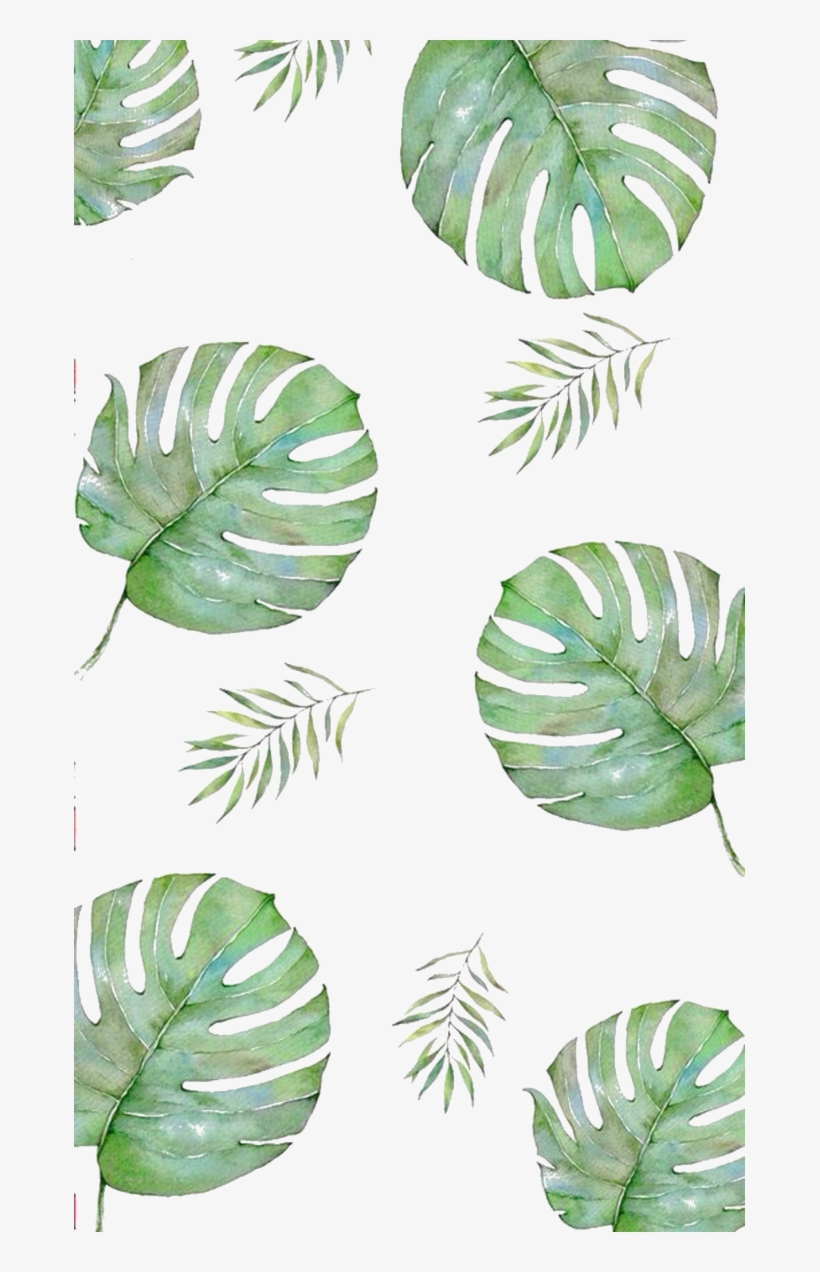 F2u Plant Custom Box By Umieart-dbfft85 - Летние Обои На Айфон, transparent png