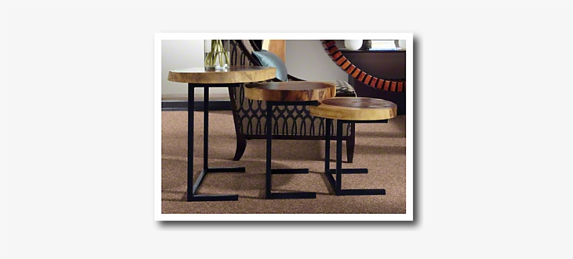 Savory Days Cleartouch Carpet By Shaw - Carpet, transparent png