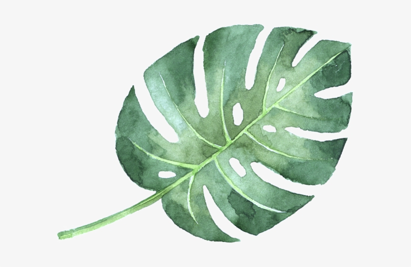 All Content © Copyright Sandalsatthebeach - Watercolor Painting, transparent png