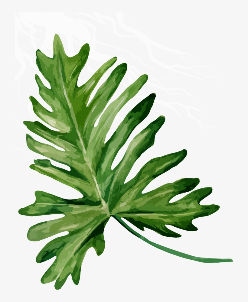 Passion - Bandinist Floppy Bow Headband-tropical Mix, transparent png