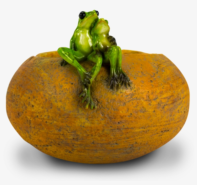 Bella 6" Two Frogs Planter, transparent png