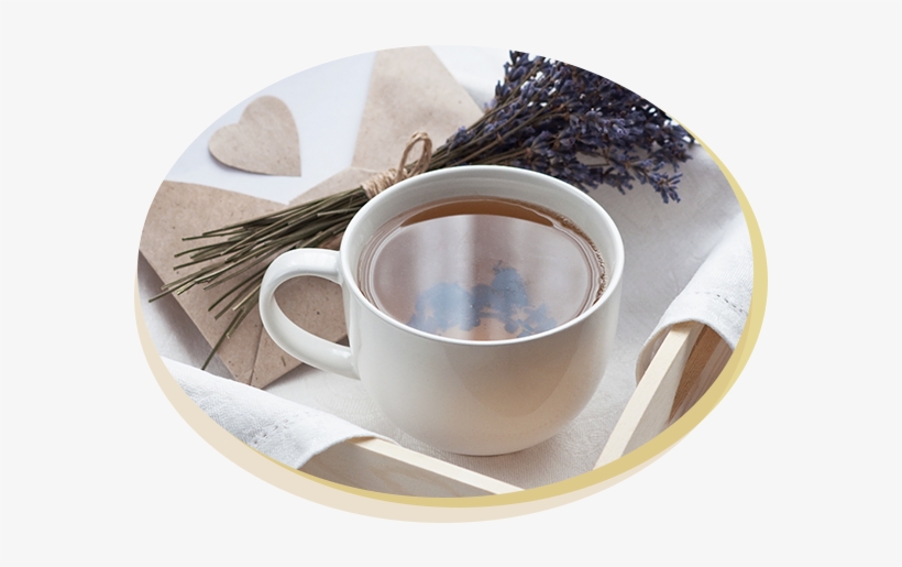 Ver Más - Tea, transparent png