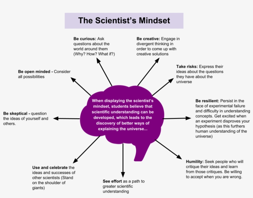 Education Is Set Up In Such A Way That Students Are - Diagram, transparent png