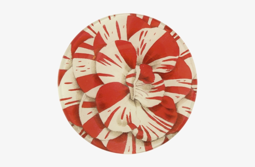 Red & White Carnation - Circle, transparent png