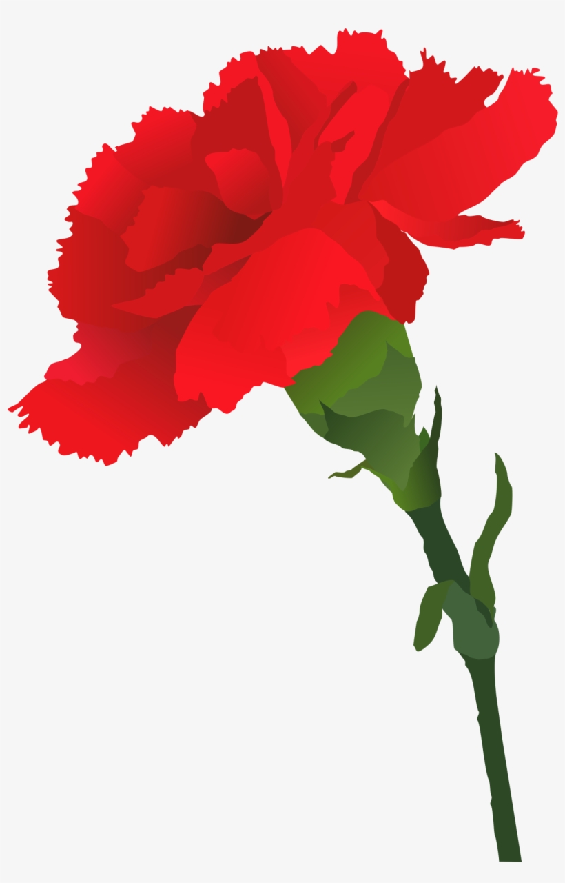 Rose Vector Clipart - Rose, transparent png