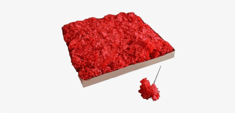 Get A Box Of Red Carnations To Insert Into Your Media - Step And Repeat, transparent png