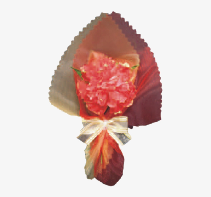 Red Carnations - Fruit, transparent png