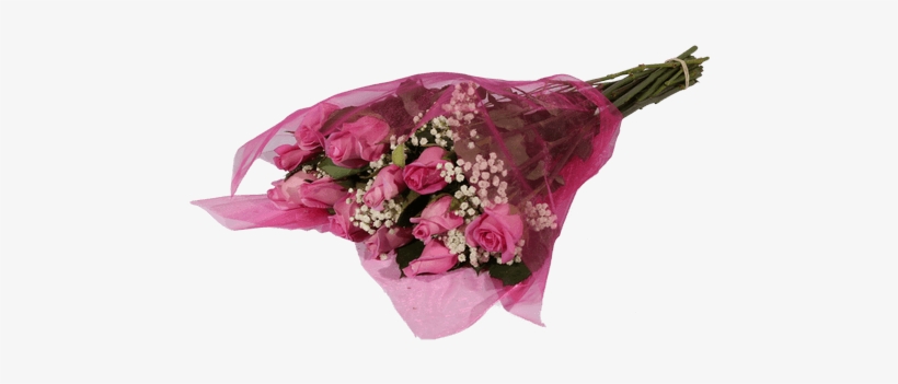 Pink Roses - Panties, transparent png