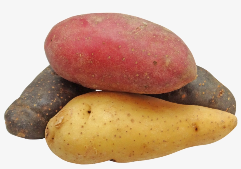 Potato, Fingerling, Rainbow, Potatoes, Png - Potatoes Png, transparent png