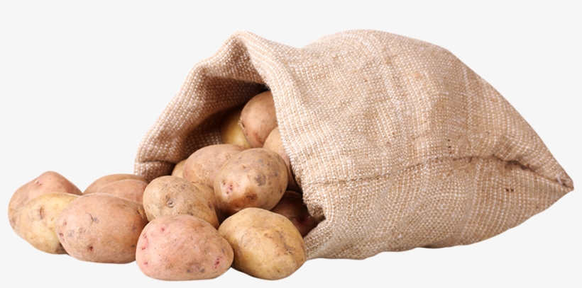 Welcome To Yoyo Foods, Makers Of Yoyo Fun Snacks We're - Russet Burbank Potato, transparent png
