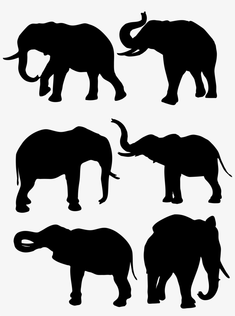 A Glossary Of Publishing Terms Contexture - Wildlife Conservation And Utilization, transparent png