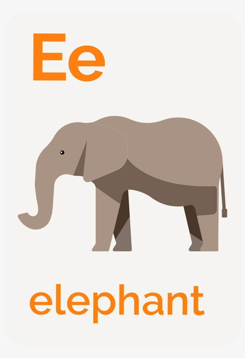 The Trunk - Indian Elephant, transparent png