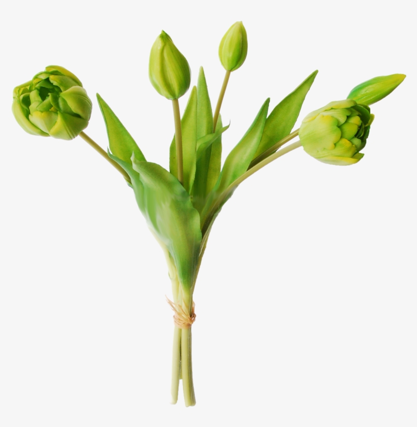 Tulips In A Bundle Of 5 - Tulip, transparent png