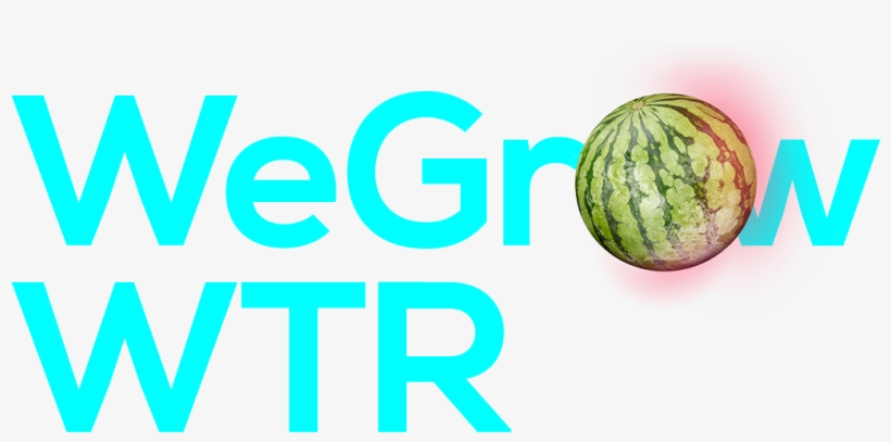 Watermelons Are 92% Water - Marketing, transparent png