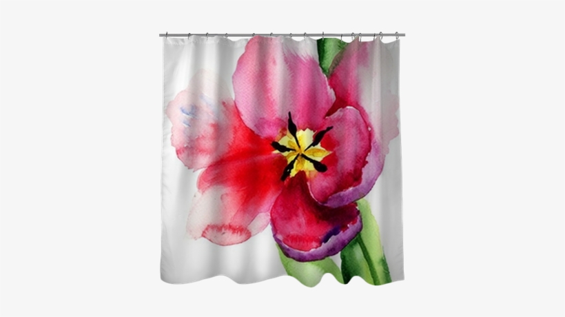 Tulip, transparent png