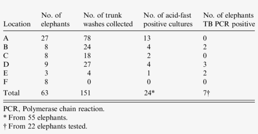Culture And Tb Pcr Results Of Elephant Trunk Washes - Bulk Density, transparent png