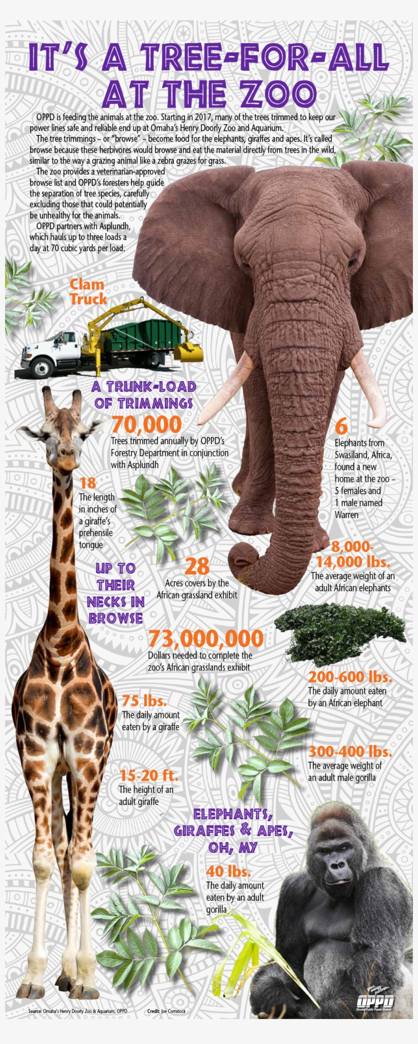 “it's A Very Welcome Bonus - Animals In Danger In Africa [book], transparent png