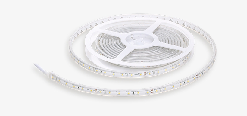 Silicone C Basic - Circle, transparent png