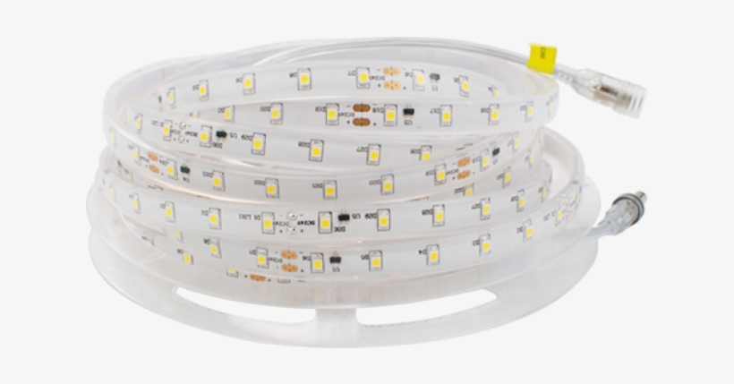 Flex Led Strip Light Flex Strip Lighting Linear Light - Circle, transparent png