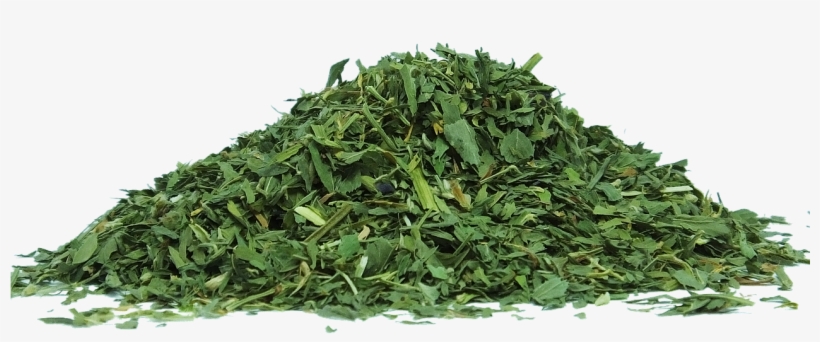 Green Tea Matcha Dried Leaves - Organiozz Natural Teeth Whitening White Strips Powder, transparent png
