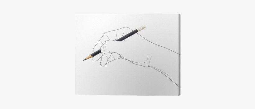 Sketch, transparent png