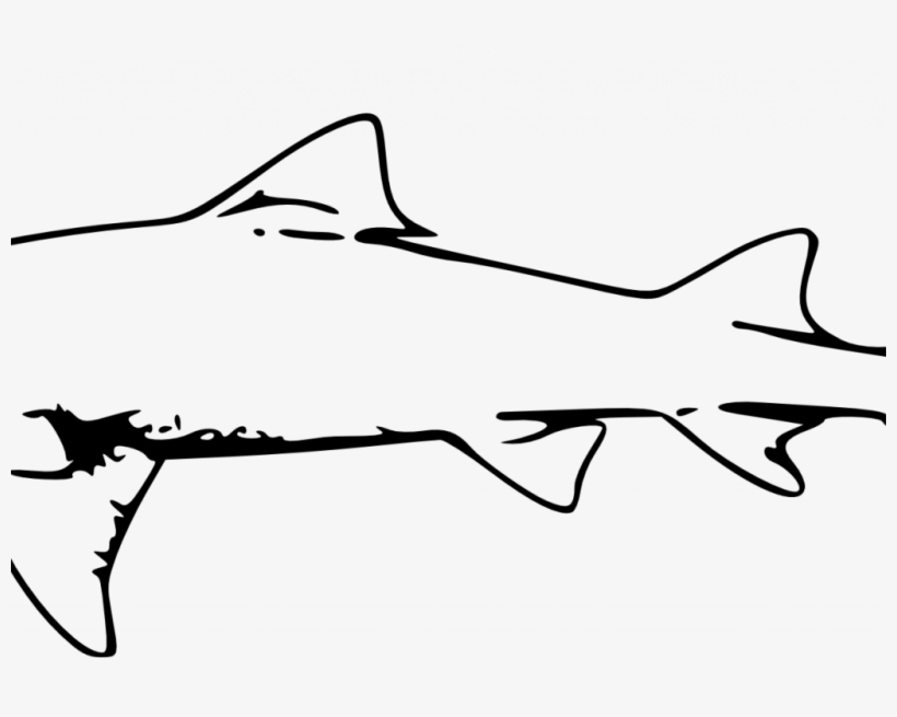 Best Great White Shark Outline, transparent png